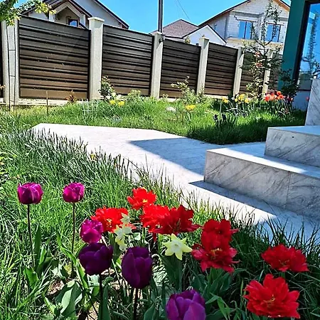Fara Nume Constanta
